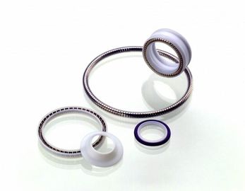 Le joint de PTFE, ressort a activé le phoque de téflon, joint rotatif de téflon, phoque statique de PTFE